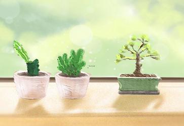 外表傻傻智商超高的星座