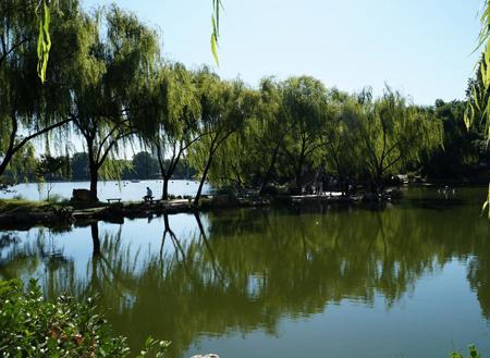 梦见老婆生男孩有什么征兆 梦到老婆生男孩预示什么
