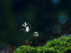 易洋千玺是什么星座的