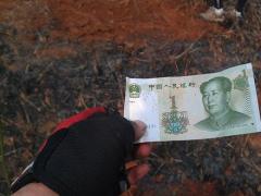 手相 事业线掌心分支