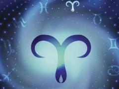 哪个星座的最se