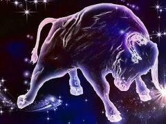十二星座找男朋友标准