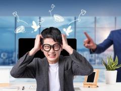 2023年11月属相运程 属猪的人在11月各方面运势好吗