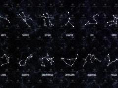 喜欢事业的星座