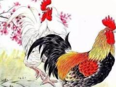 最会装模作样的星男