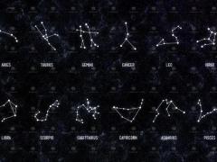 生肖龙的白羊座和什么生肖星座最配