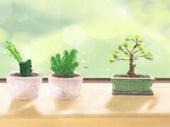星座测试处女座