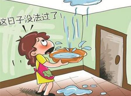 梦见喜欢的人来自己家是什么意思
