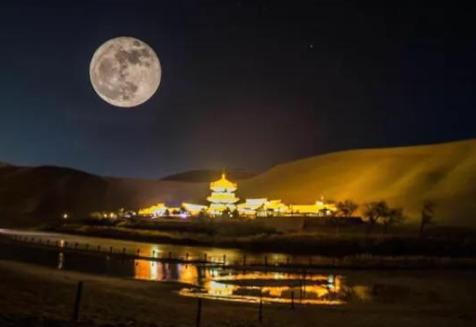 12星座最擅长干什么