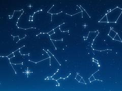 十二星座女身材