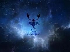 桃花运不断的星座