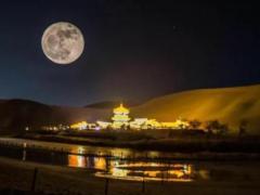 12星座最擅长干什么