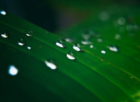 戴益芝名字打分和寓意「戴益芝姓名测试打分」
