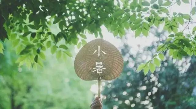 狮子座对立星座水瓶