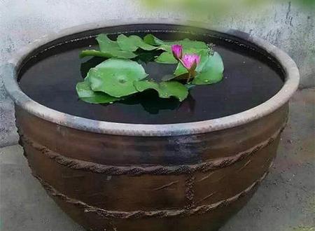 感情下的三叉纹手相