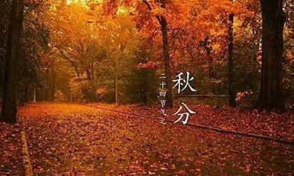 正月初九风俗有哪些活动名称呢,腊八节有什么风俗活动