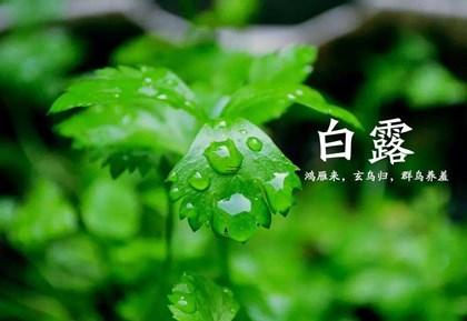 正月初六的风俗叫什么来着,正月初一至十五的风俗