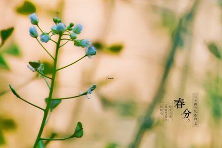 农历正月初三,又称为什么 正月初三是哪位神仙的生日