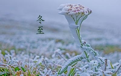 正月初三为什么要烧纸钱,初一十五烧纸的讲究