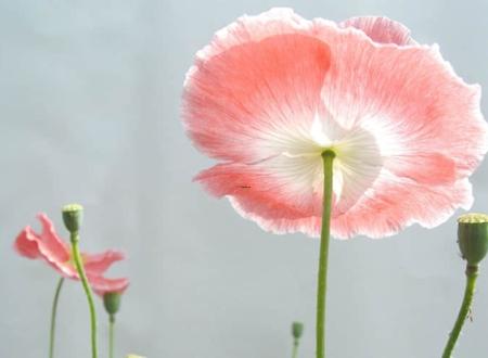 卖菜好听的群名字