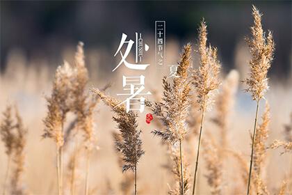 湖南大年初一风俗,大年初一到初八的风俗