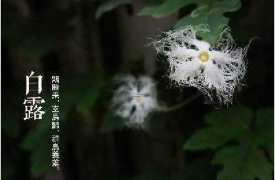 正月初二称为什么节日,春节正月初二是什么日子