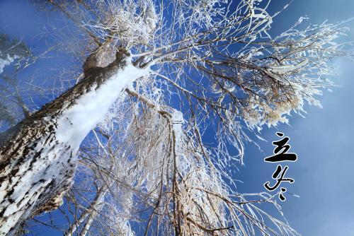 正月初一为什么不能回娘家呢,每月初一不能回娘家是什么意思