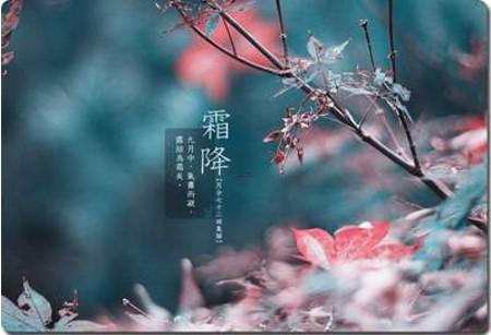 正月初八忌讳什么颜色衣服女孩,农历正月初七出生的女孩命好吗
