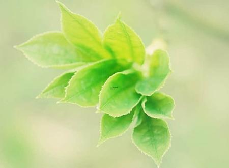 性情独特的微信名字带你逍遥带你飞