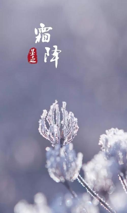 农历正月初八有什么风俗活动,2024年正月黄道吉日