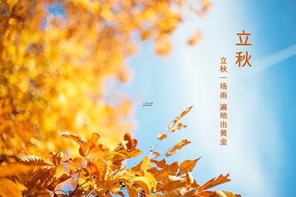 正月初一接什么初二接什么,正月初一回家好还是初二