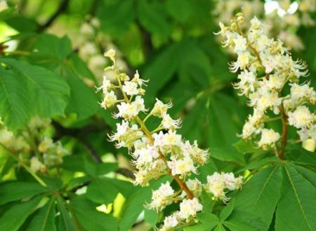 「丁克森」丁克森名字测试打分及寓意内涵