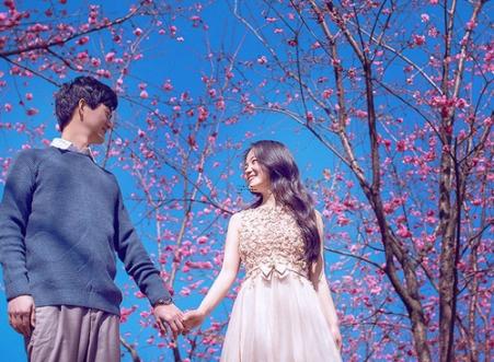 1984女鼠2024年运势 1984女鼠2024年运势详解全年运程完整版