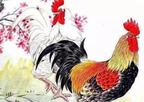 水瓶座女人是靠夫还是帮夫？