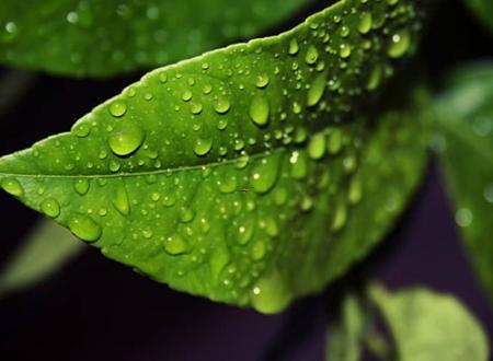 贸易公司名称大全简单大气 招财有福气企业名