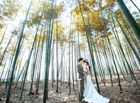 龙年本命年2024年能结婚吗,龙年本命年2024年能结婚吗女