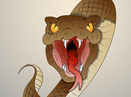 梦见公鸡啄人是什么意思