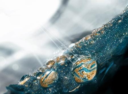 金牛座女生最佳配对,金牛座女生2024年运势如何