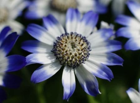 陆芳忠名字打分和寓意「陆芳忠姓名测试打分」