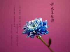 2024年属猪人动土建房的吉日在哪天