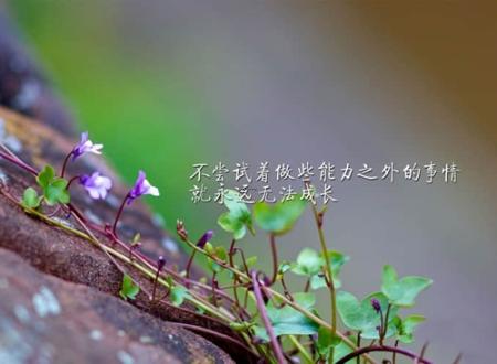 芃字跟什么字组合取名,茗字和什么字组合最好