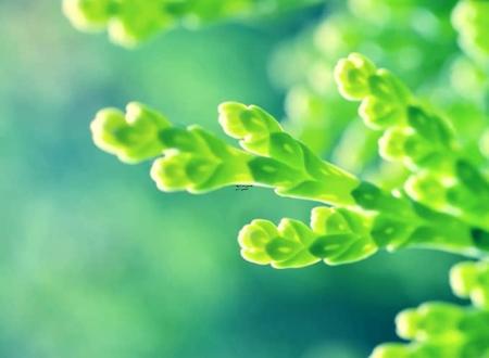 给芭比娃娃起名用什么好女孩,给芭比娃娃取什么名字最好听