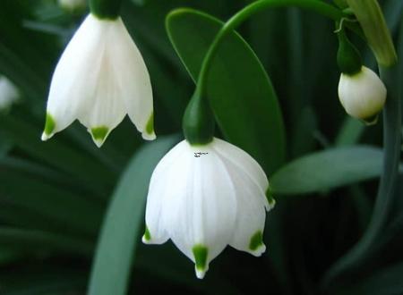 老公桃花运旺怎么去除,老公桃花运太旺怎么破解