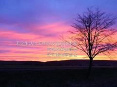 2025年1月适合进宅的日子有哪些 搬家时的禁忌