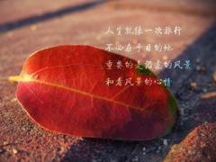 艺的意思和五行属什么字的五行属什么