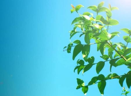 2025年2月适合开业的生肖和吉日推荐 开业吉日与生肖选择指南