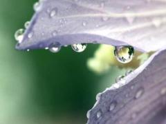 猫名字大全可爱的,猫名字大全可爱的带财运雨开头