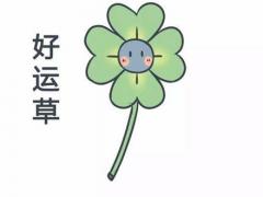 算卦的可信吗,算卦的可信吗