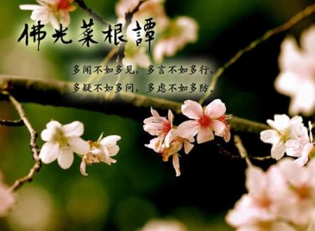 严新纲名字打分和寓意「严新纲姓名测试打分」