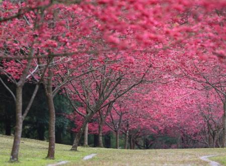 吉利建房日查询 2025年4月哪日好
